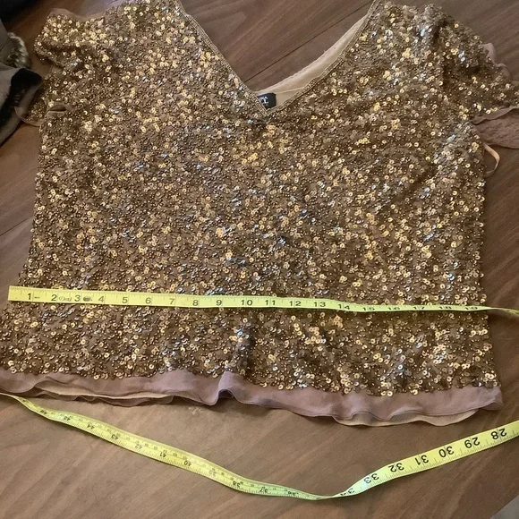 Adrianna Papell Boutique Copper Sequin Silk Top Women’s 2X Plus Size - Picture 6 of 11